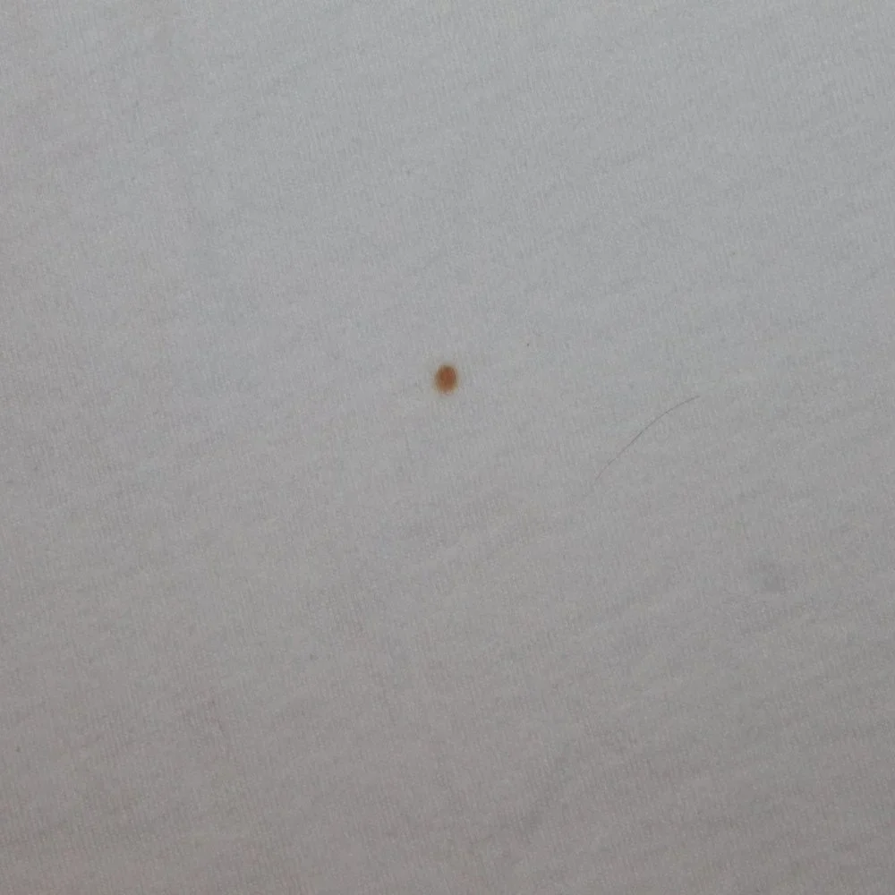 BNWOT 2006 Germany Fifa World cup Champions "Italy" Shirt - Picture 6 of 6